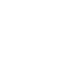 Blue Star Group